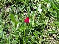 2006-07 Serre-Chevalier 074